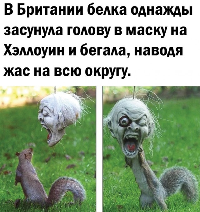 Так себе картинки 25.07.22