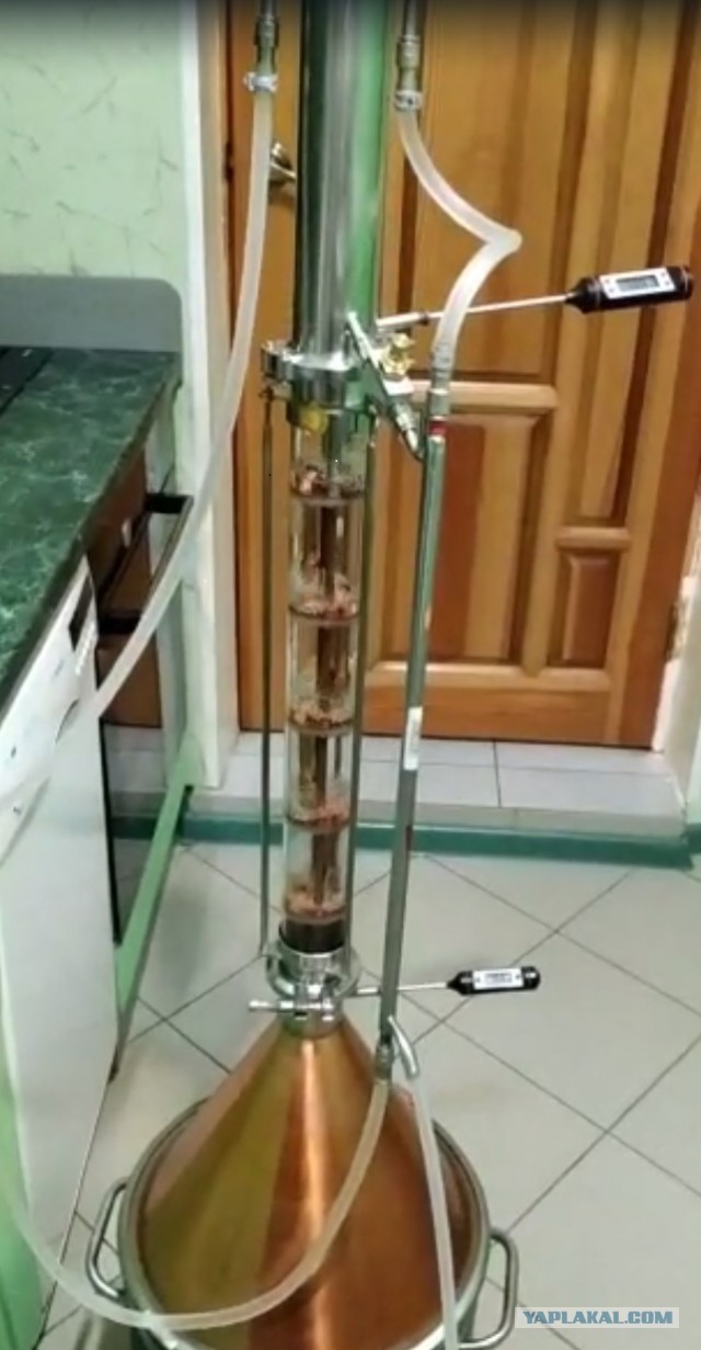 Гнали, гоним, будем гнать!
