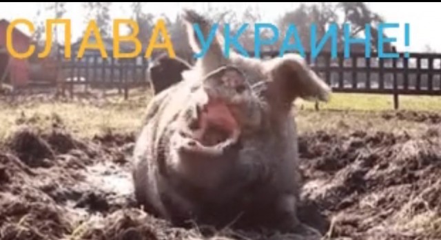 Движение по мосту запущено