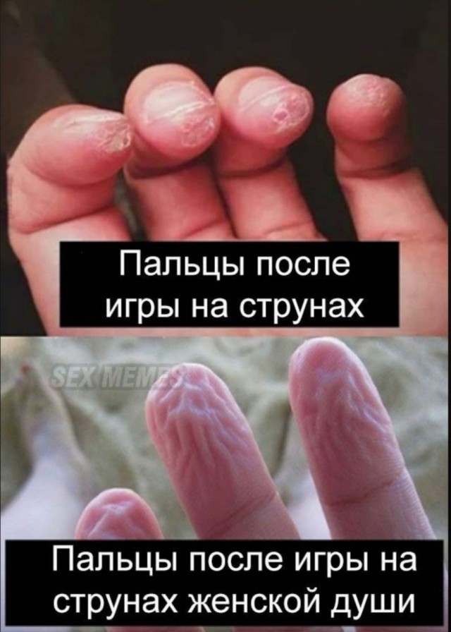 Народная меДИЧна 2012