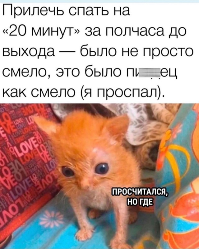 Отряд быстрого деградирования