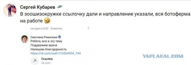 В Астрахани зоозащитники схватили пенсионера за грудки и обвинили в травле собак