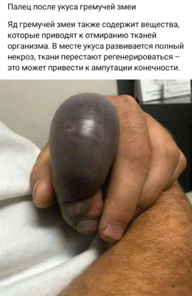 Так себе картинки 17.02.24