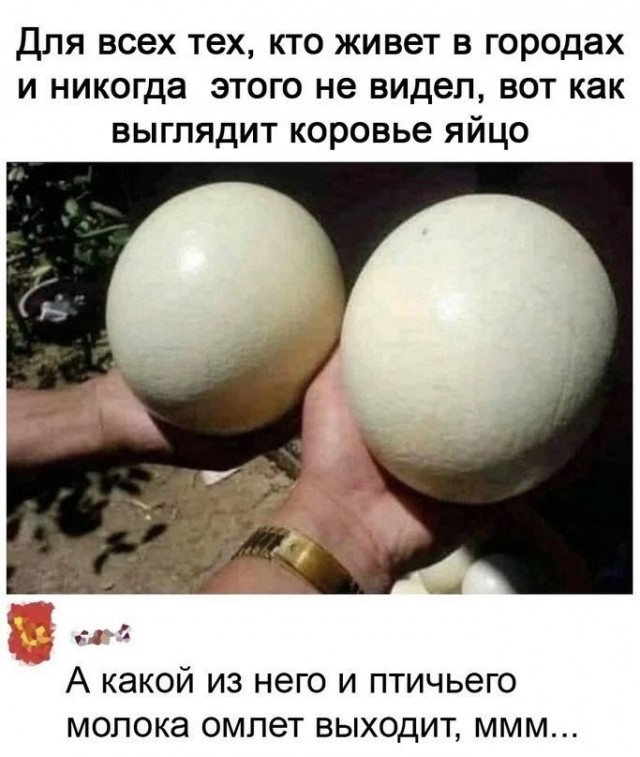 Нуштош 20.06.2024