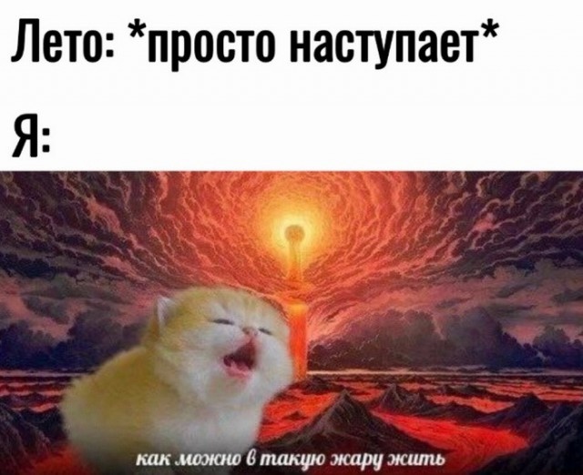 Завалялось тут случайно немного забавных картинок