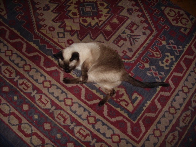Вчера одним рабом стало больше
