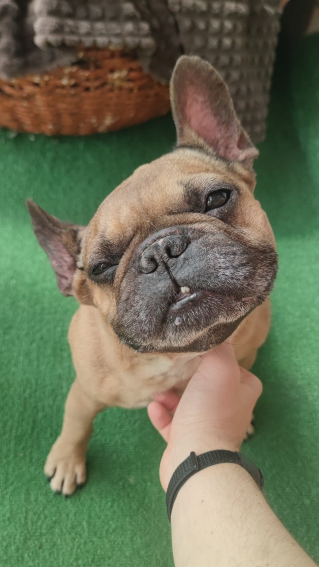 А у Даны д.р. Ей 10 лет!