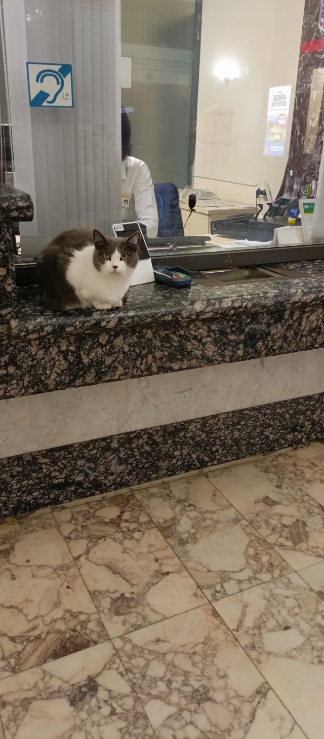 Помощник кассира.