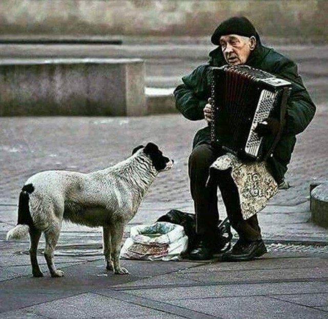 Прикольные и просто красивые картинки 04.12.2024