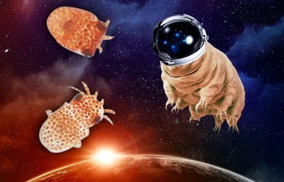 Группа учёных намерена интегрировать в человека ДНК тихоходок, открыв двери покорителям космоса