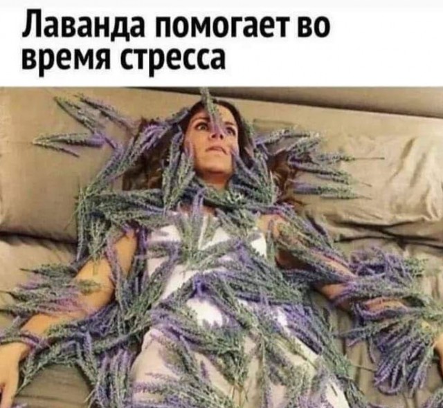 Завалялось тут случайно немного забавных картинок