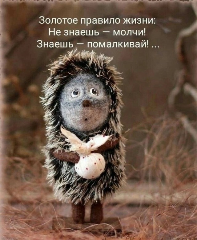 Прикольные и просто красивые картинки 11.04.2025