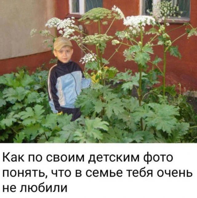 Завалялось тут случайно немного забавных картинок