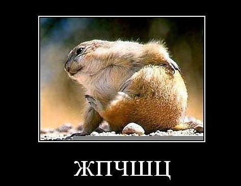 Просто кабанчики чешутся об камни. И всё