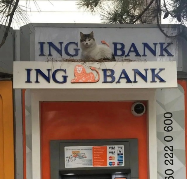 То вам мало,