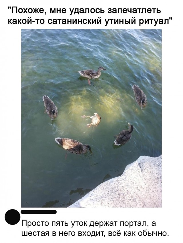 Так себе картинки 24.09.25