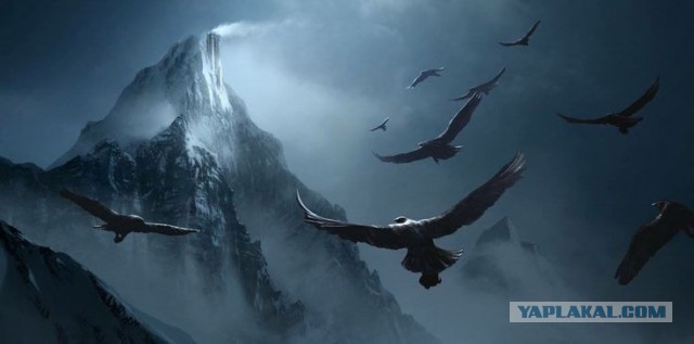 Почему не полетели на Орлах?