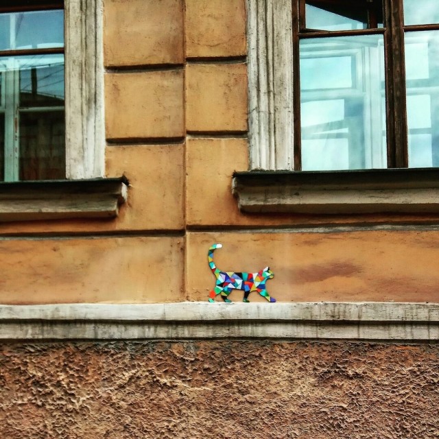 Котику тут не место!