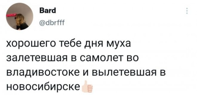 Веселые картинки в пятницу (14.11)