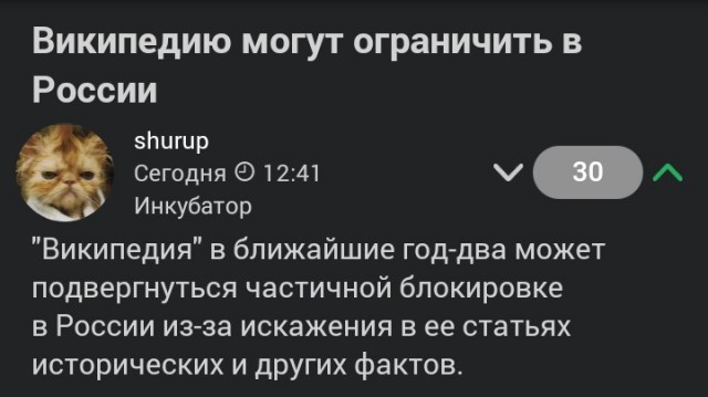 Основатель «Рувики» заявил об отсутствии госфинансирования