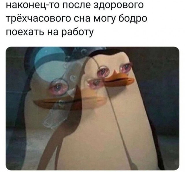 Картинки для деградации 157 (разной степени свежести)