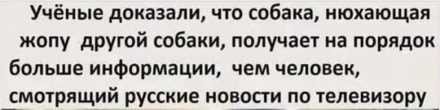 Картинки для деградации 166 (разной степени свежести)