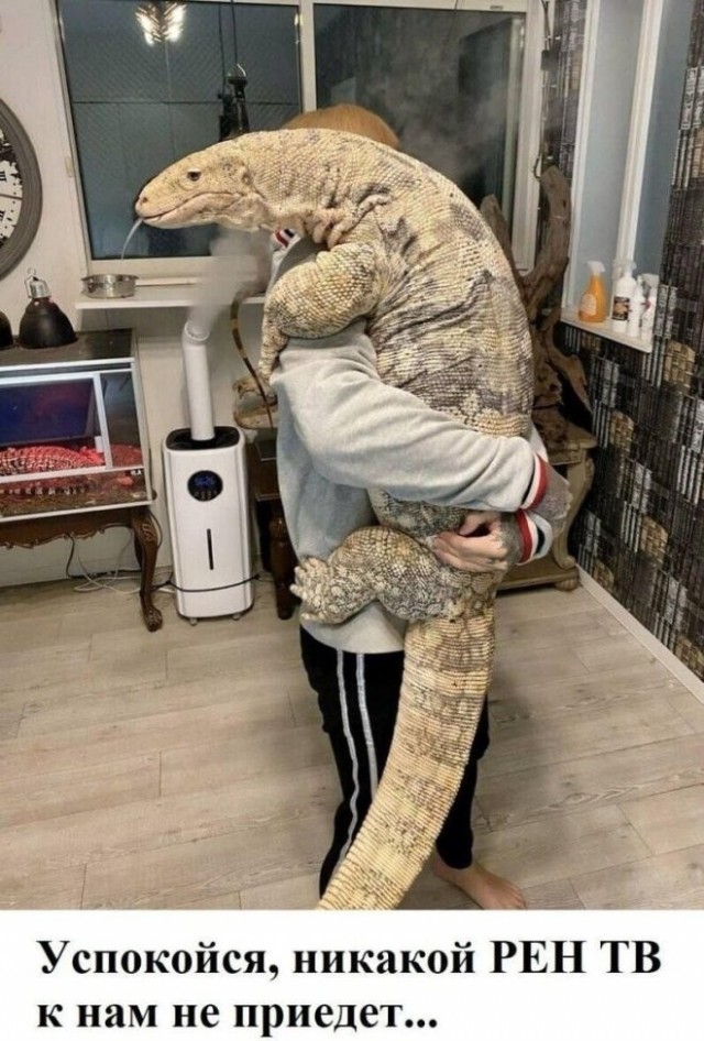 Веселые картинки в понедельник (27.04)