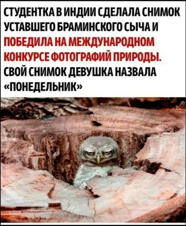 Так себе картинки 06.05.26