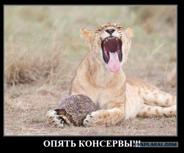Демотиваторов пост, добавляйте свои