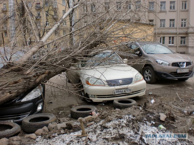 Ужасы ЖКХ
