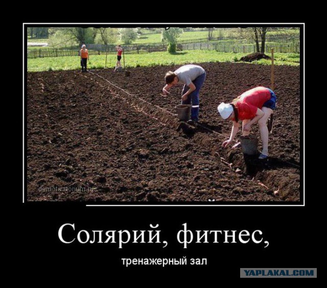 Смешное из инета