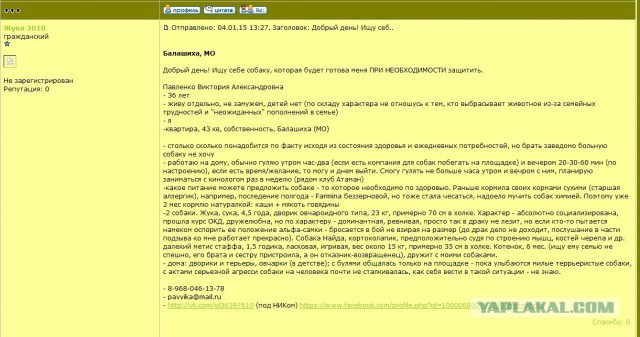 Поймали воровку собаки-поводыря