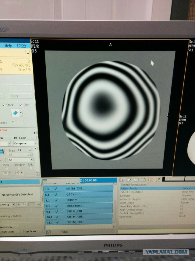 I need help! найти вора или то что он украл.