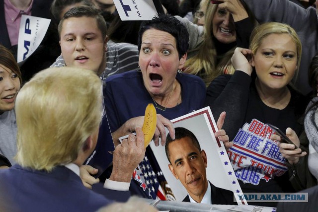Фотожаба "Трамп удиви Меня!"
