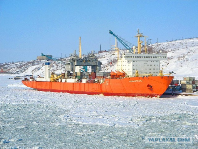 Всю рыбу распугал!