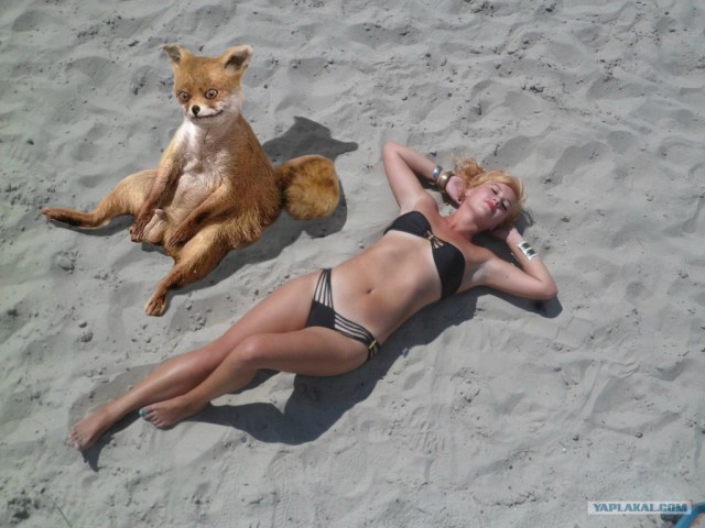 Помогите измерить даму!