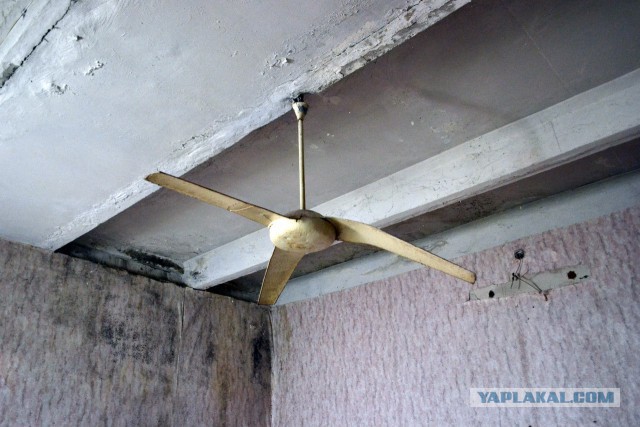 Семикаракорский консервный завод