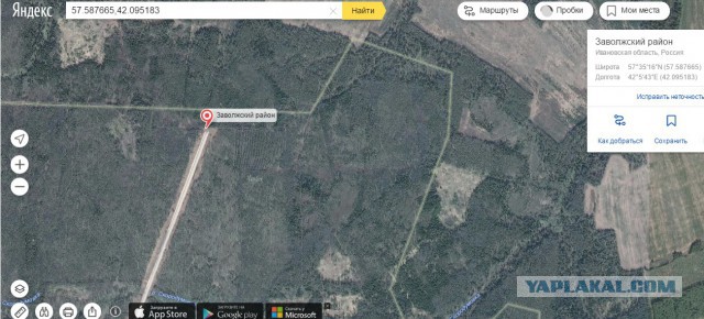 Подборка прикольных фото