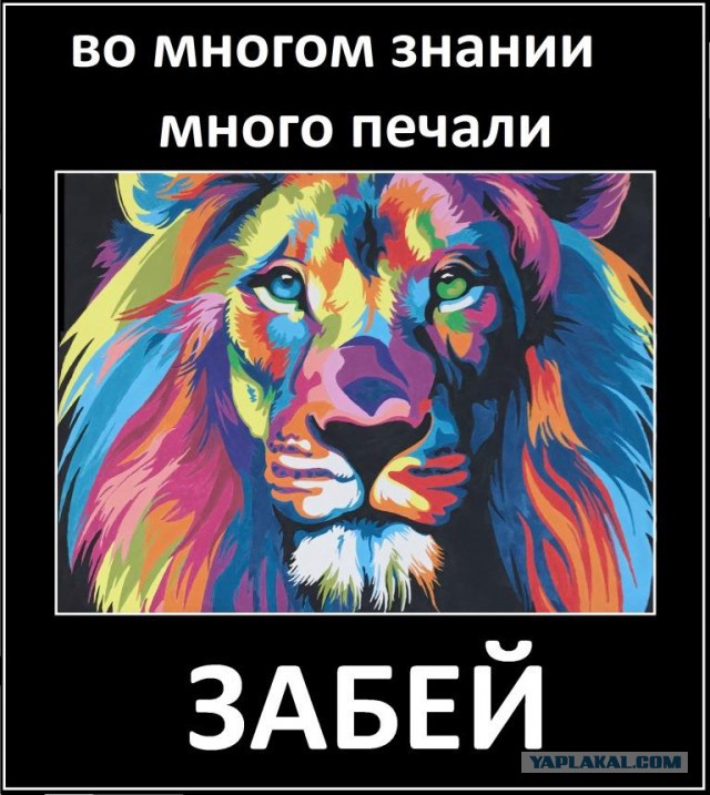Подборка интересных и веселых картинок