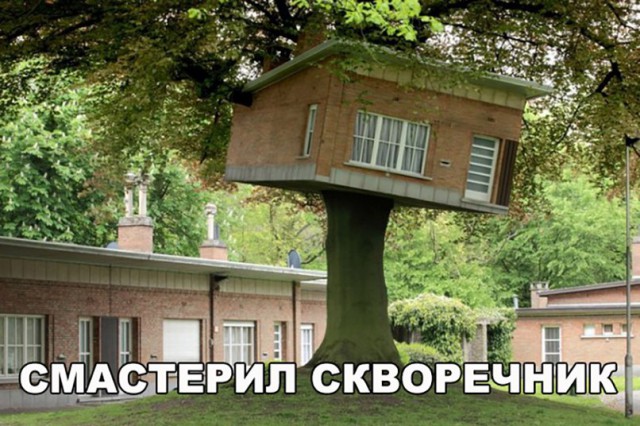 Подборка интересных и веселых картинок