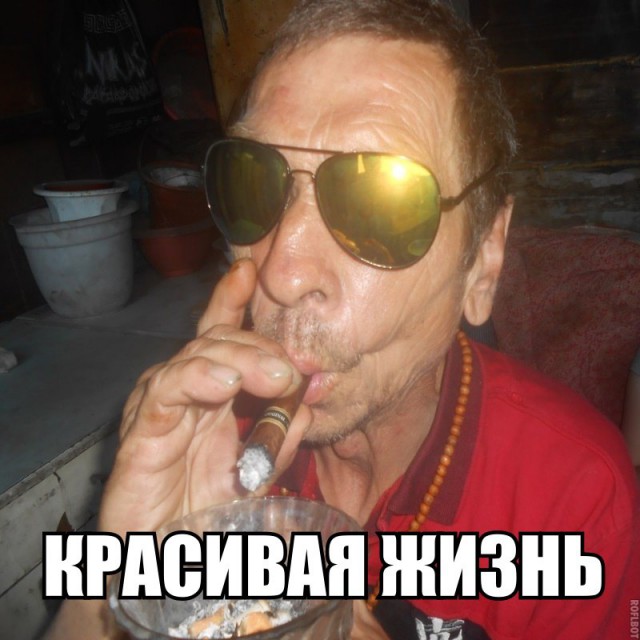 Скотсети и прочие интернеты 07.11.17