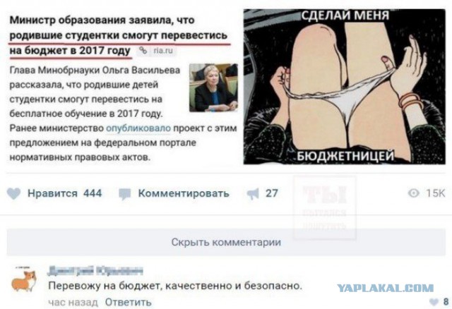 Смешные комментарии из социальных сетей 24.11.2017