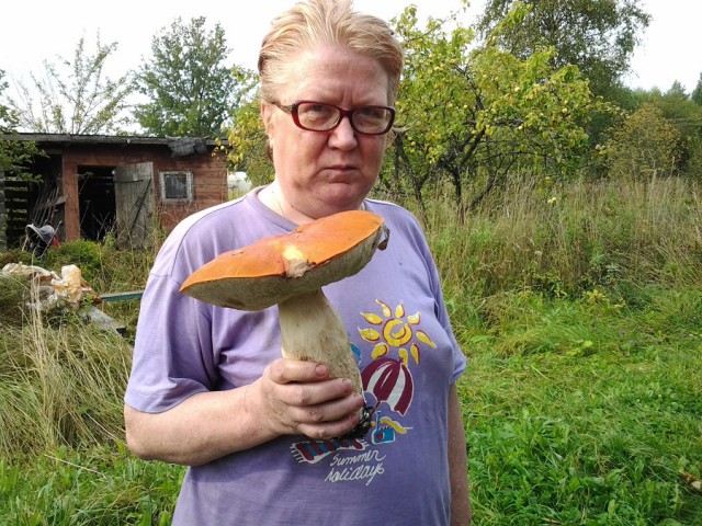 "Суровые" грибы Семипалатинска.