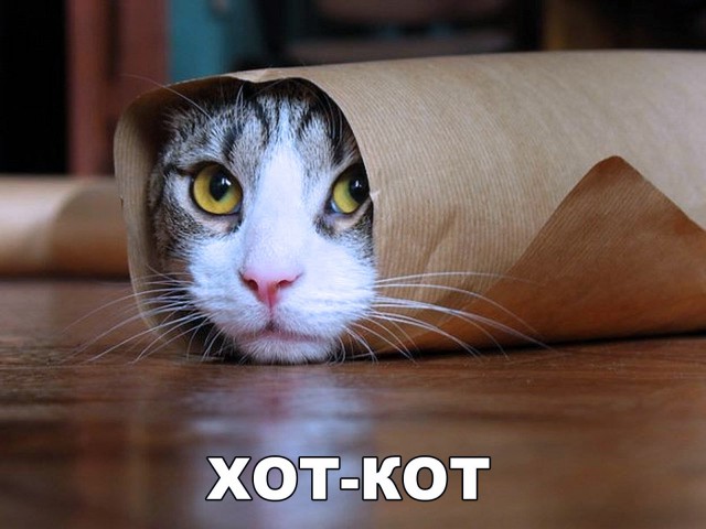 Немного милоты