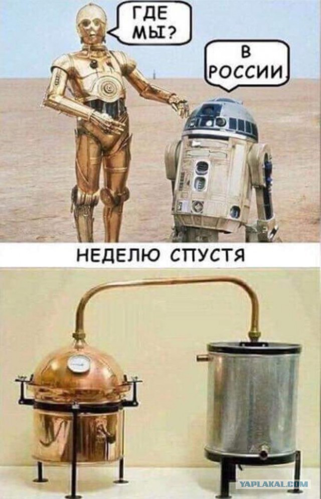 Картинки для разминки