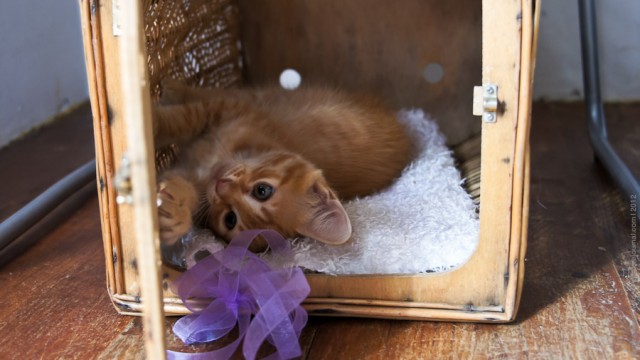 Один мой день. Самый первый!