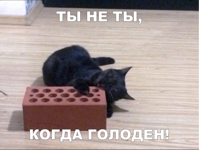 Нестандартный юмор