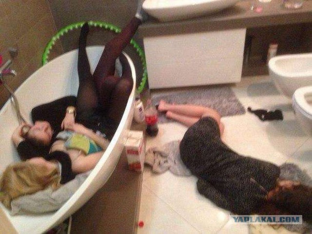 Скотсети и прочие интернеты 28.05.2019