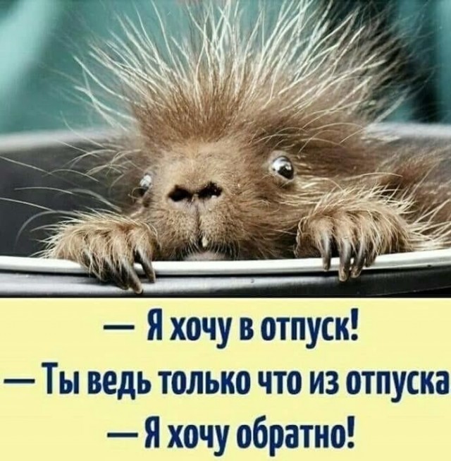 Лечим воскресное похмелье дубиной деградации