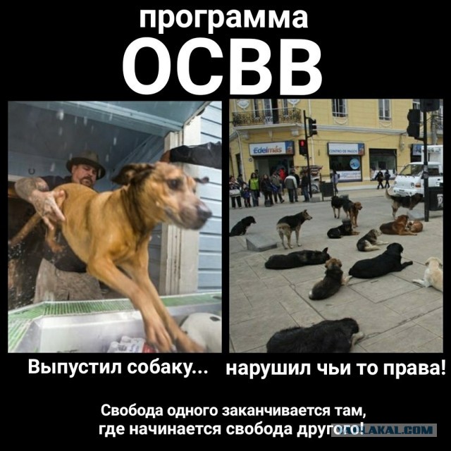 Звериный оскал зоозащиты